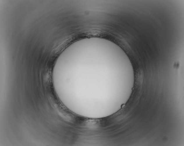 X0000115010126200911091429