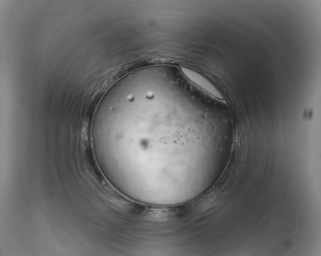X0000115010127200911091429