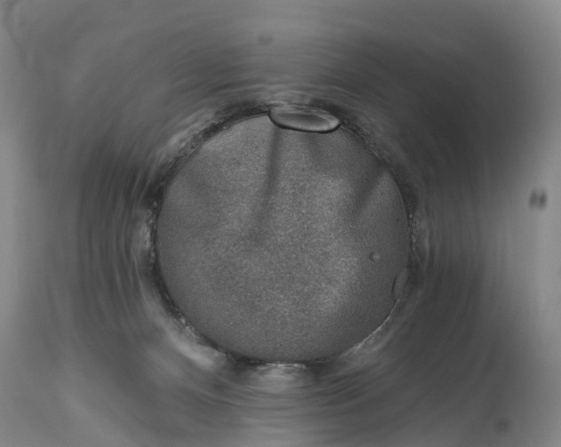 X0000115010128200911091429
