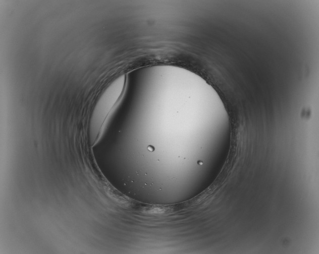 X0000115010129200911091429