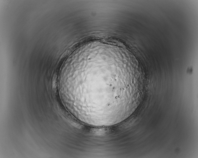 X0000115010131200911091429