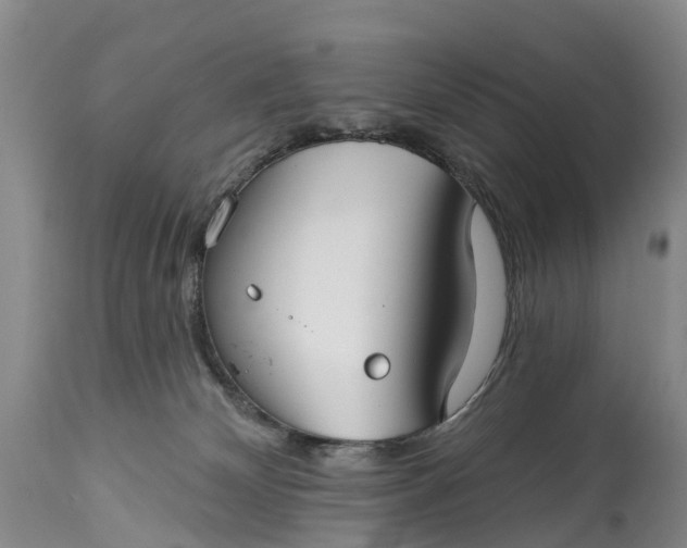 X0000115010132200911091429