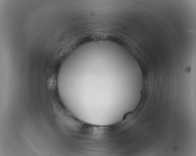 X0000115010134200911091429