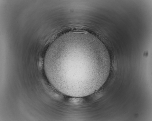 X0000115010135200911091429