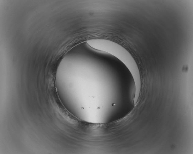 X0000115010136200911091429