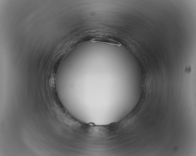 X0000115010137200911091429