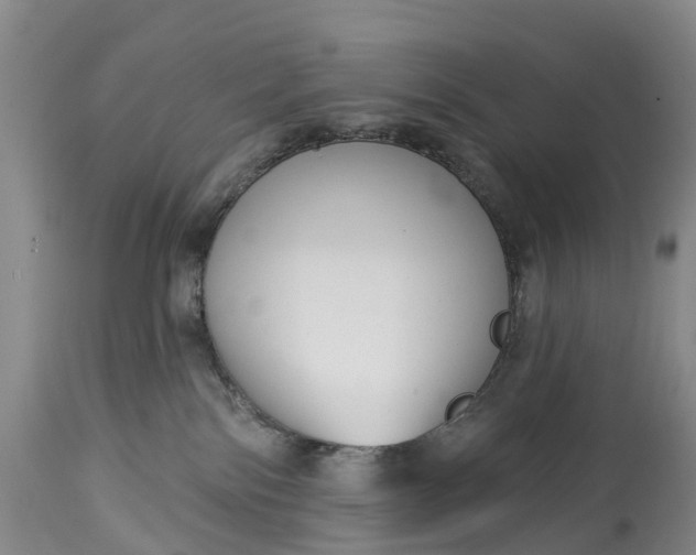X0000115010138200911091429