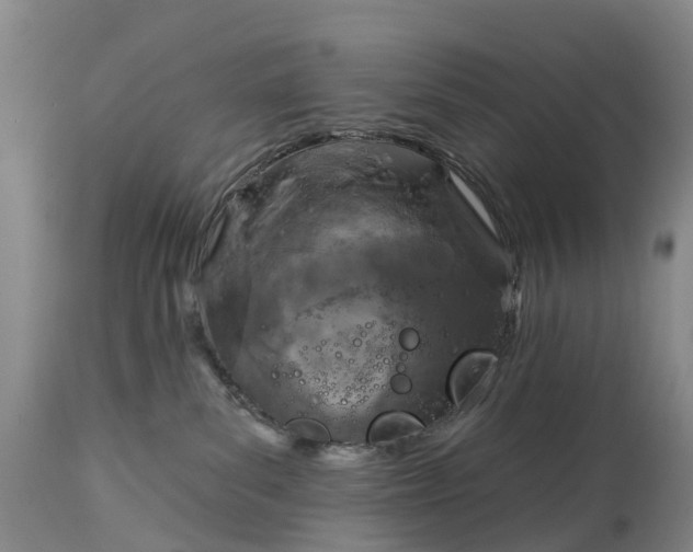 X0000115010139200911091429
