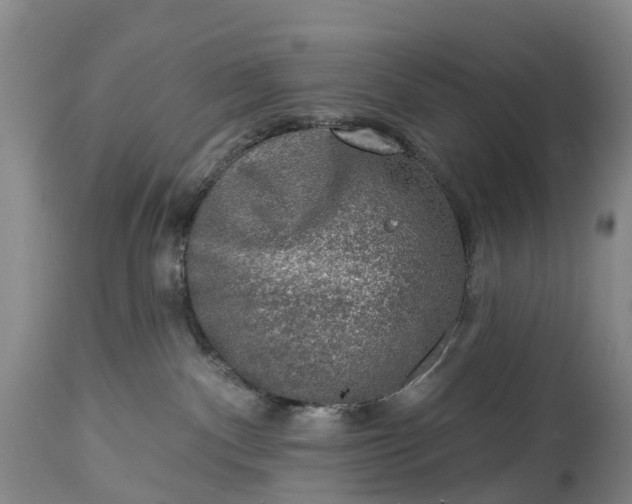 X0000115010140200911091429
