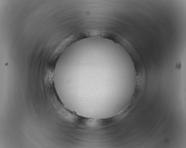 X0000115010142200911091429
