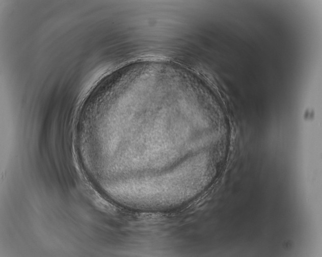 X0000115010145200911091428