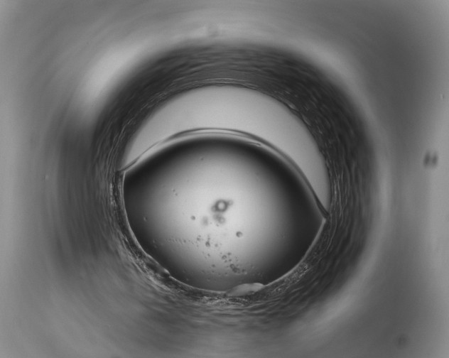 X0000115010146200911091428