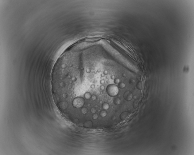 X0000115010147200911091428
