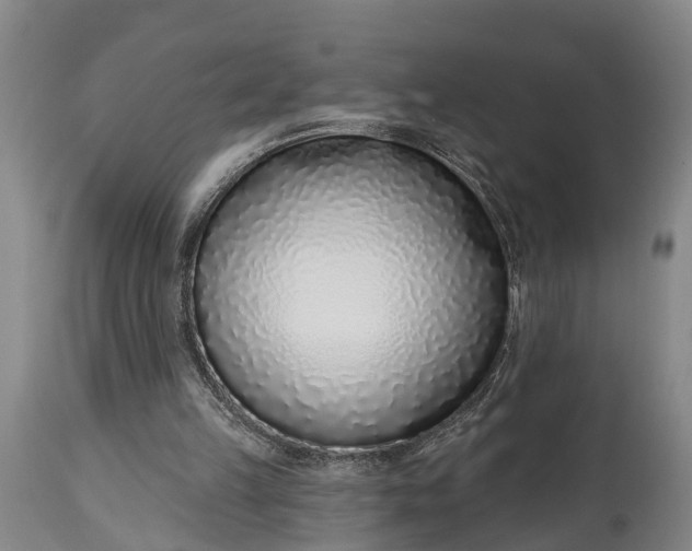 X0000115010149200911091428