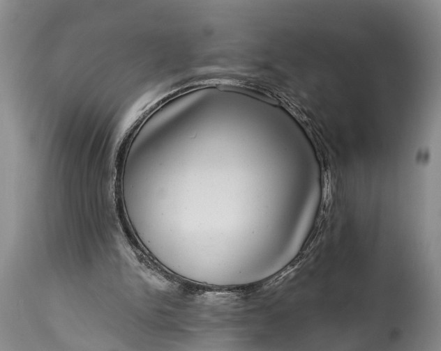X0000115010150200911091428