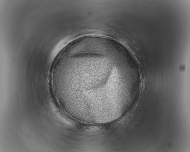 X0000115010151200911091428