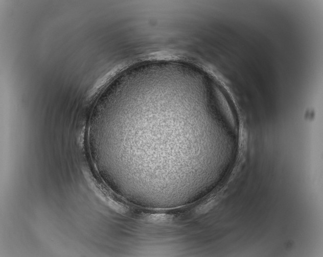 X0000115010153200911091428