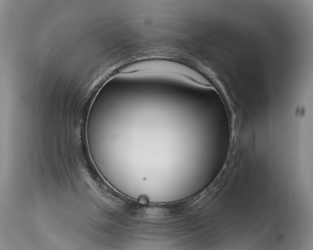 X0000115010154200911091428