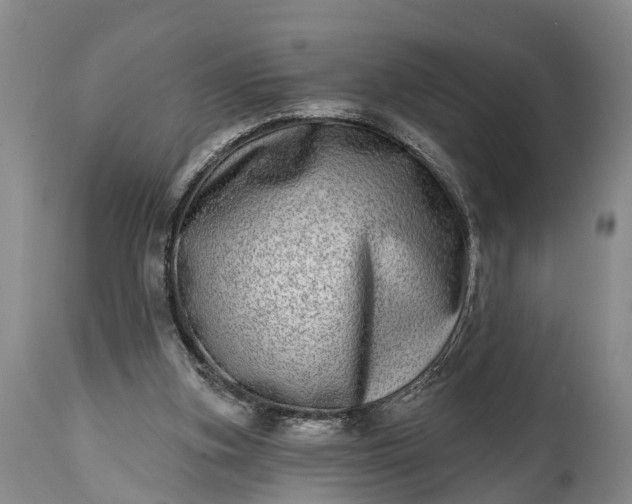 X0000115010155200911091428