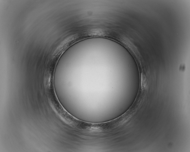 X0000115010157200911091428
