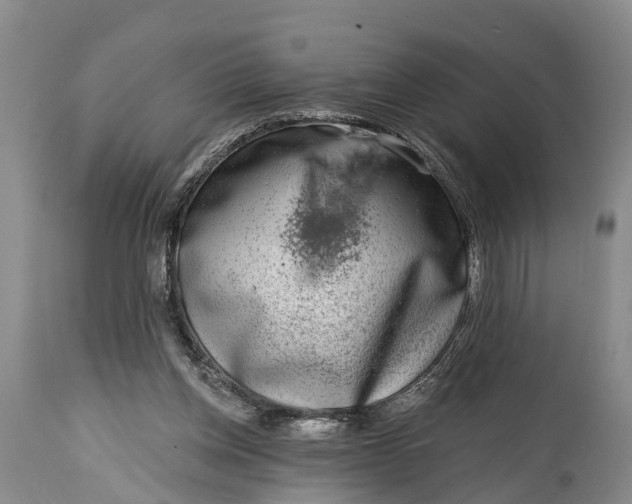 X0000115010158200911091428
