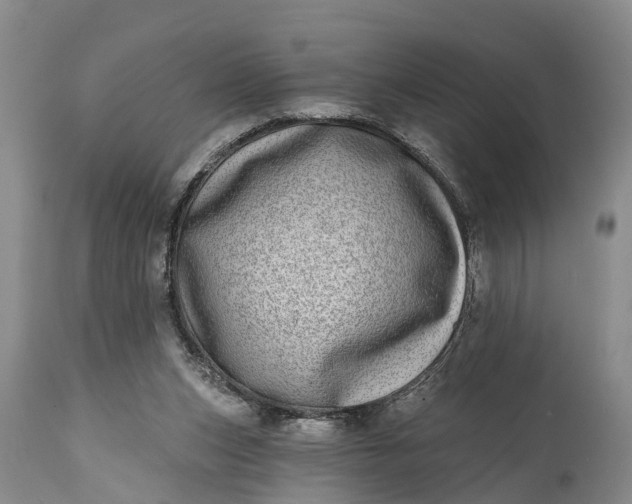 X0000115010159200911091428