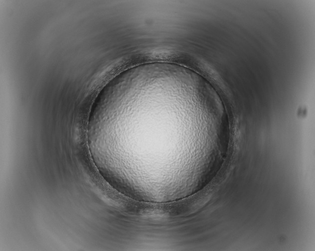 X0000115010161200911091428