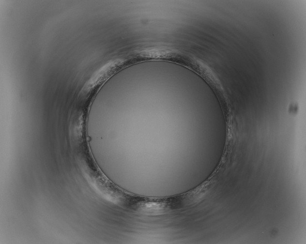 X0000115010163200911091428
