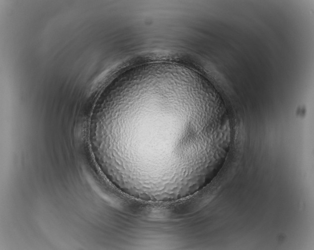 X0000115010165200911091428