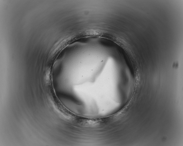 X0000115010166200911091428