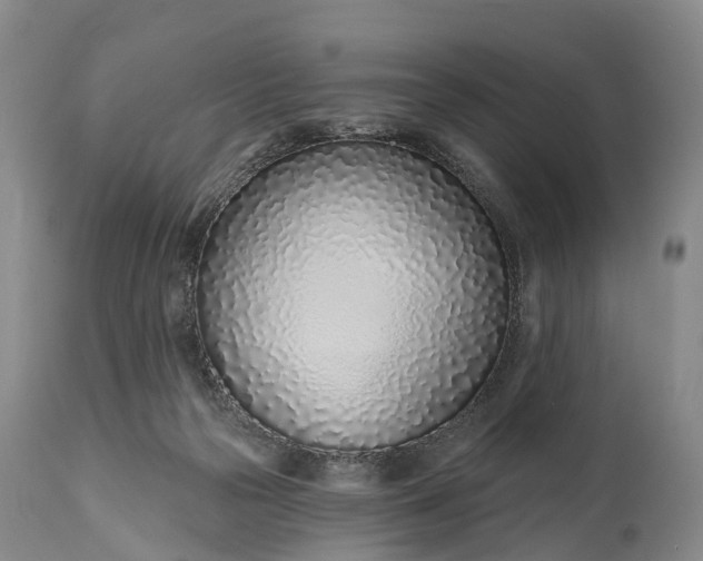 X0000115010169200911091428