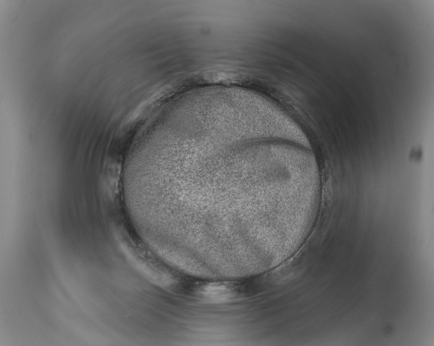 X0000115010171200911091428