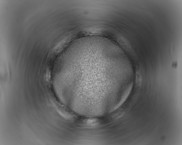 X0000115010173200911091428