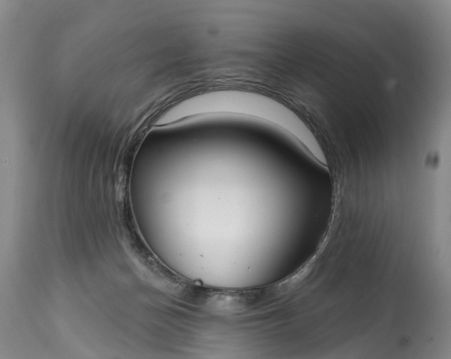 X0000115010174200911091428