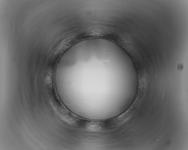 X0000115010175200911091428