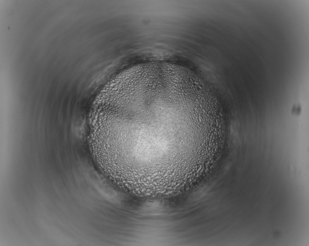 X0000115010177200911091428