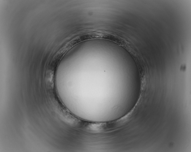 X0000115010178200911091428