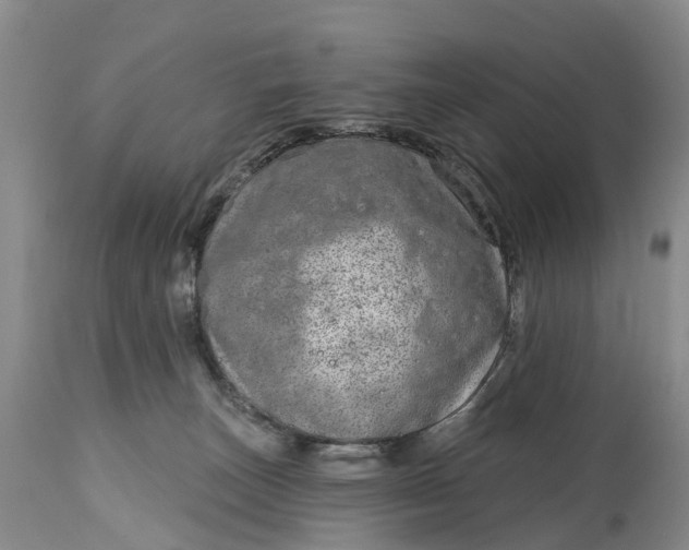 X0000115010179200911091429