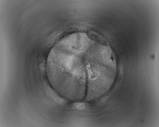 X0000115010181200911091429
