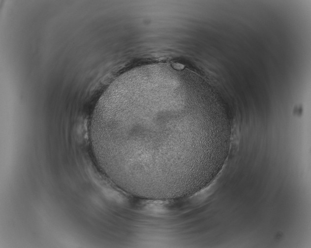 X0000115010182200911091429