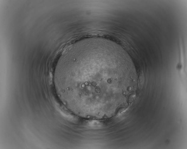 X0000115010183200911091429