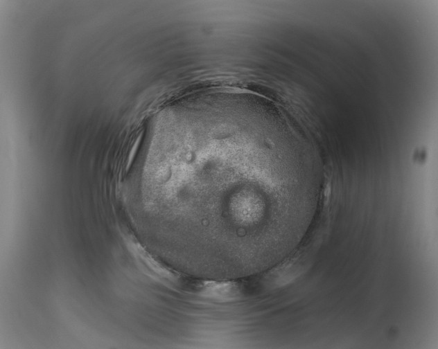 X0000115010185200911091429