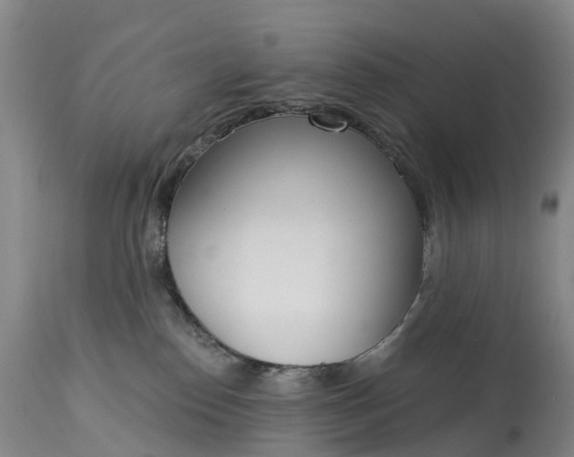X0000115010186200911091429