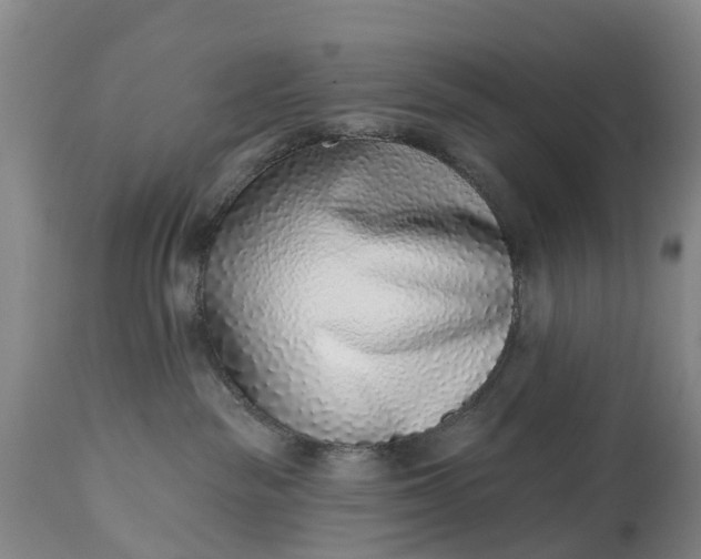 X0000115010189200911091429