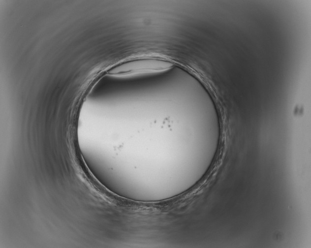 X0000115010193200911091428