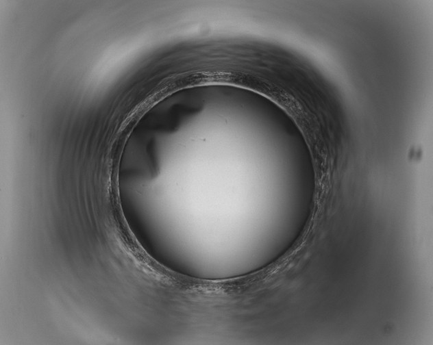 X0000115010194200911091428