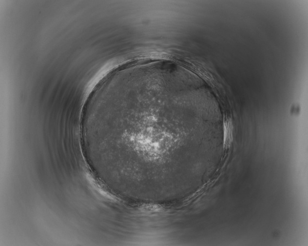 X0000115010195200911091428
