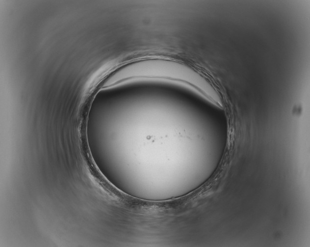X0000115010197200911091428