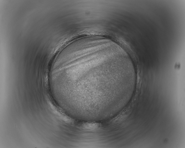 X0000115010202200911091428