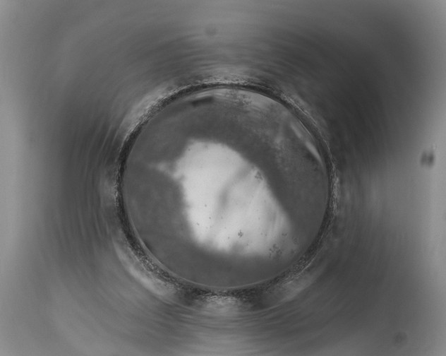 X0000115010203200911091428